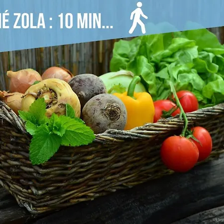 Speciale ! Jolie Pepite - Le Verdoyant *