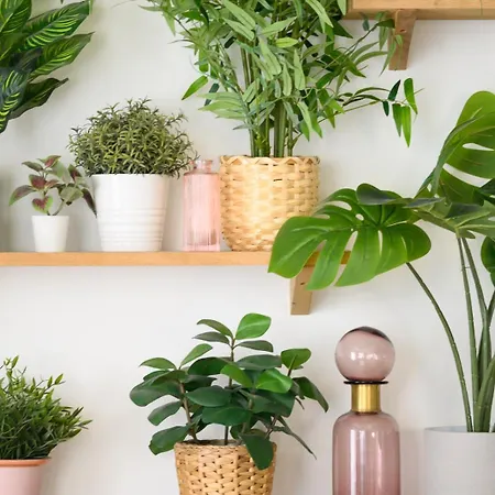 Speciale ! Jolie Pepite - Le Verdoyant