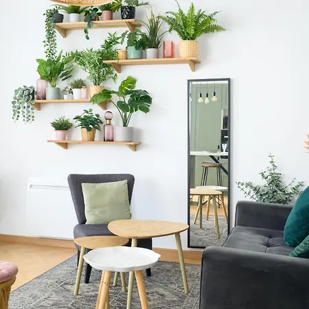 Apartman Speciale ! Jolie Pepite - Le Verdoyant