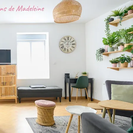 Apartman Speciale ! Jolie Pepite - Le Verdoyant